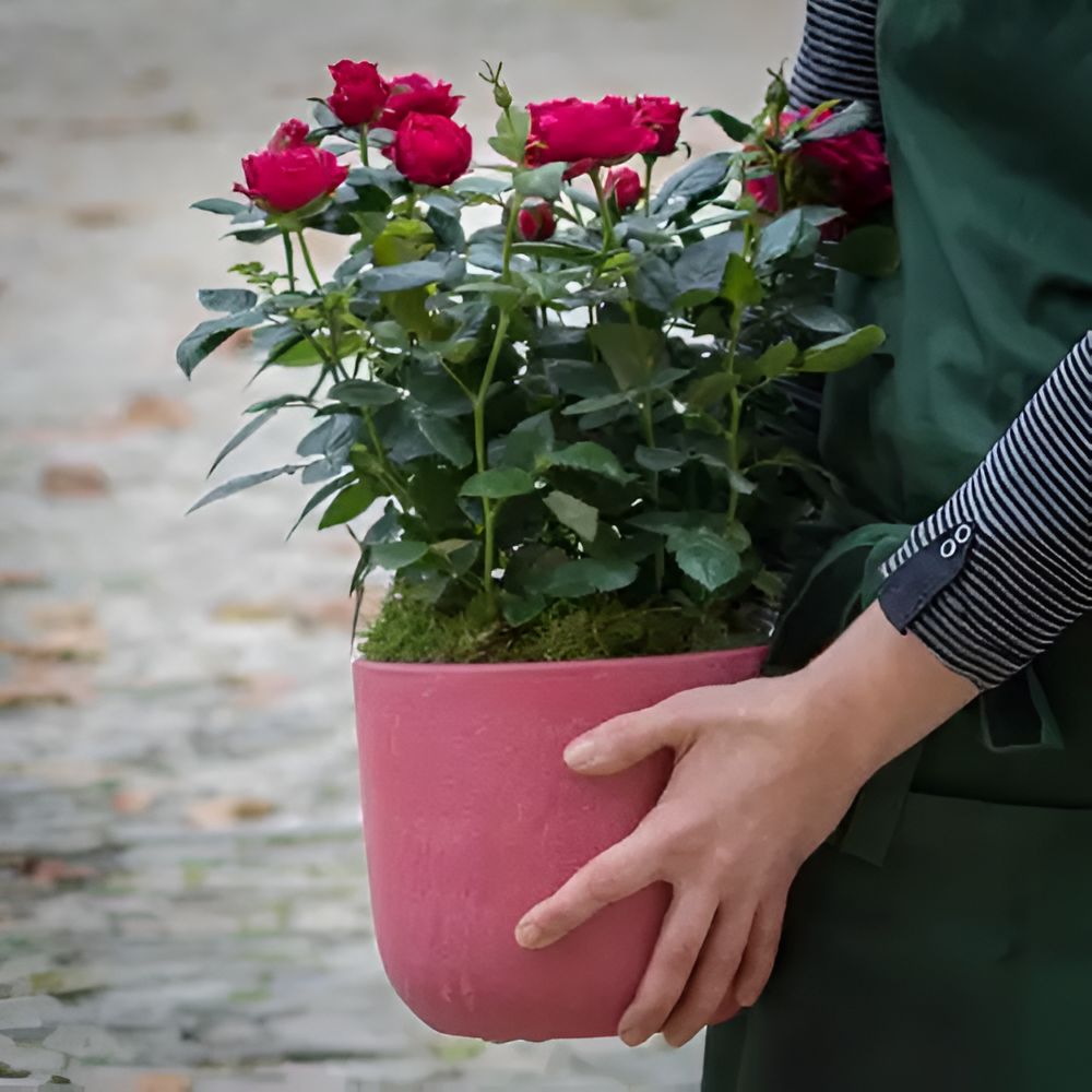 fleuriste (2)