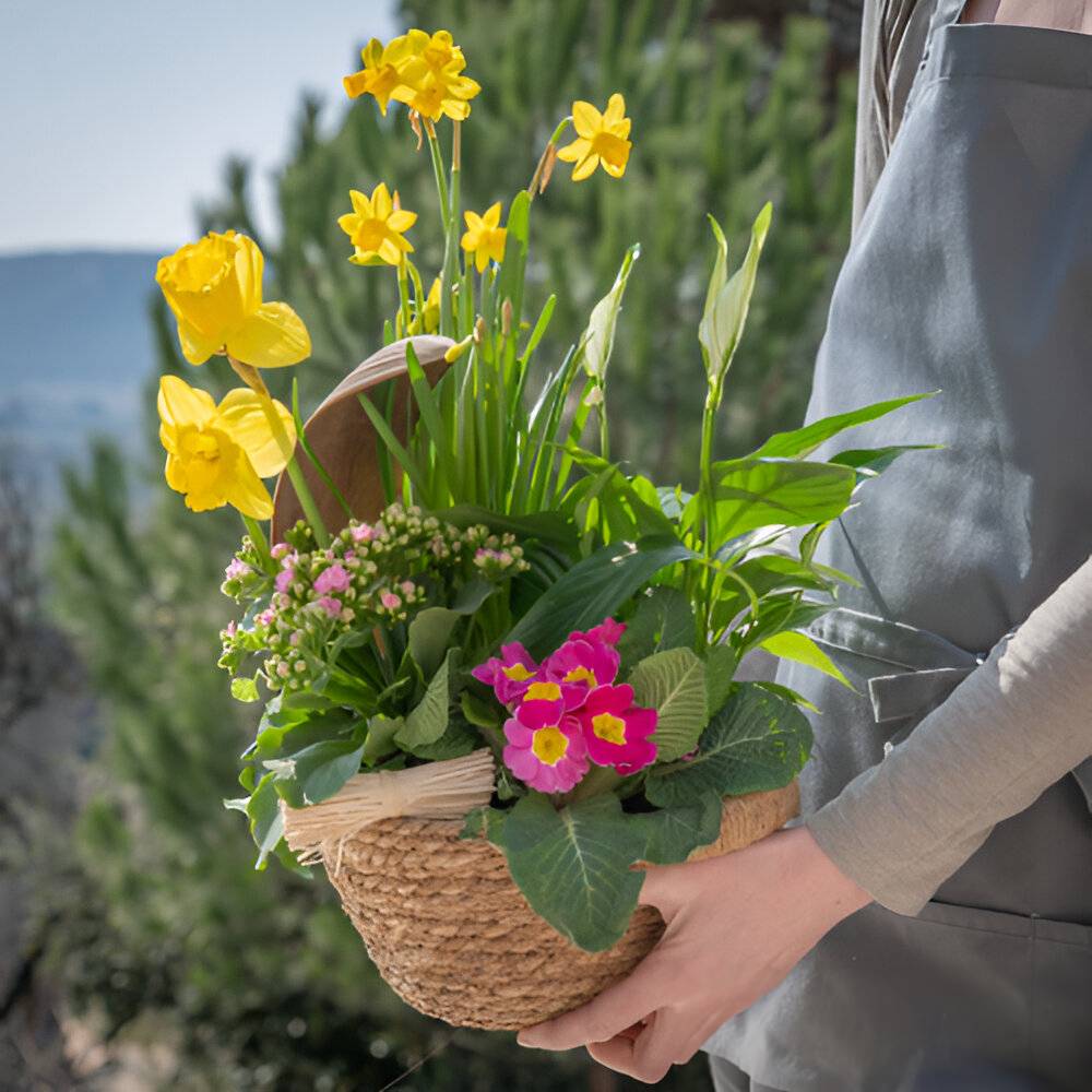 compositions florales (9)